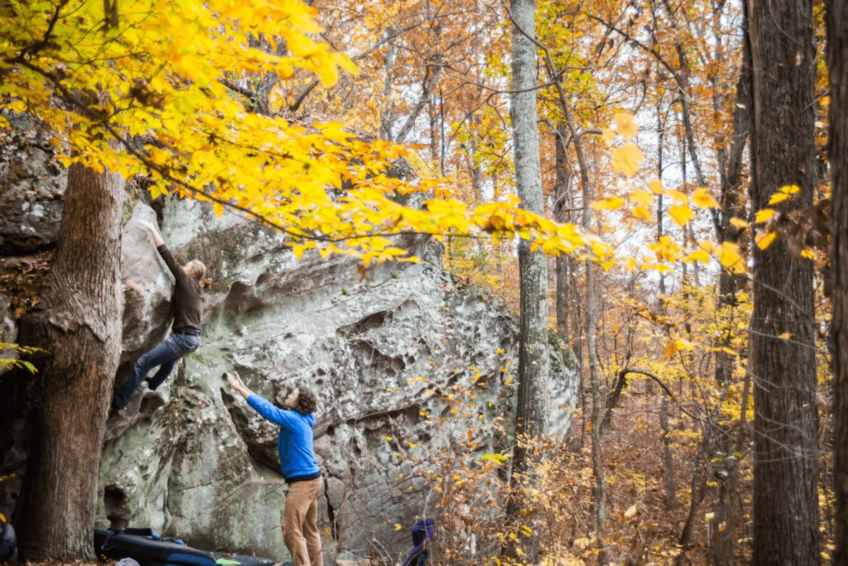 midwest fall foliage