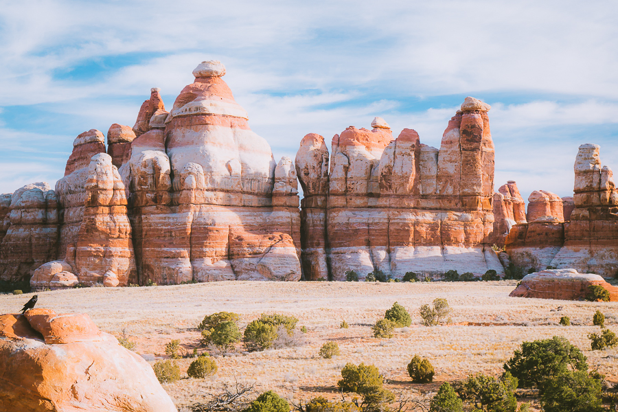 Moab is also known for its excellent rock-climbing opportunities, with world-renowned climbing areas such as Indian Creek and Castle Valley nearby