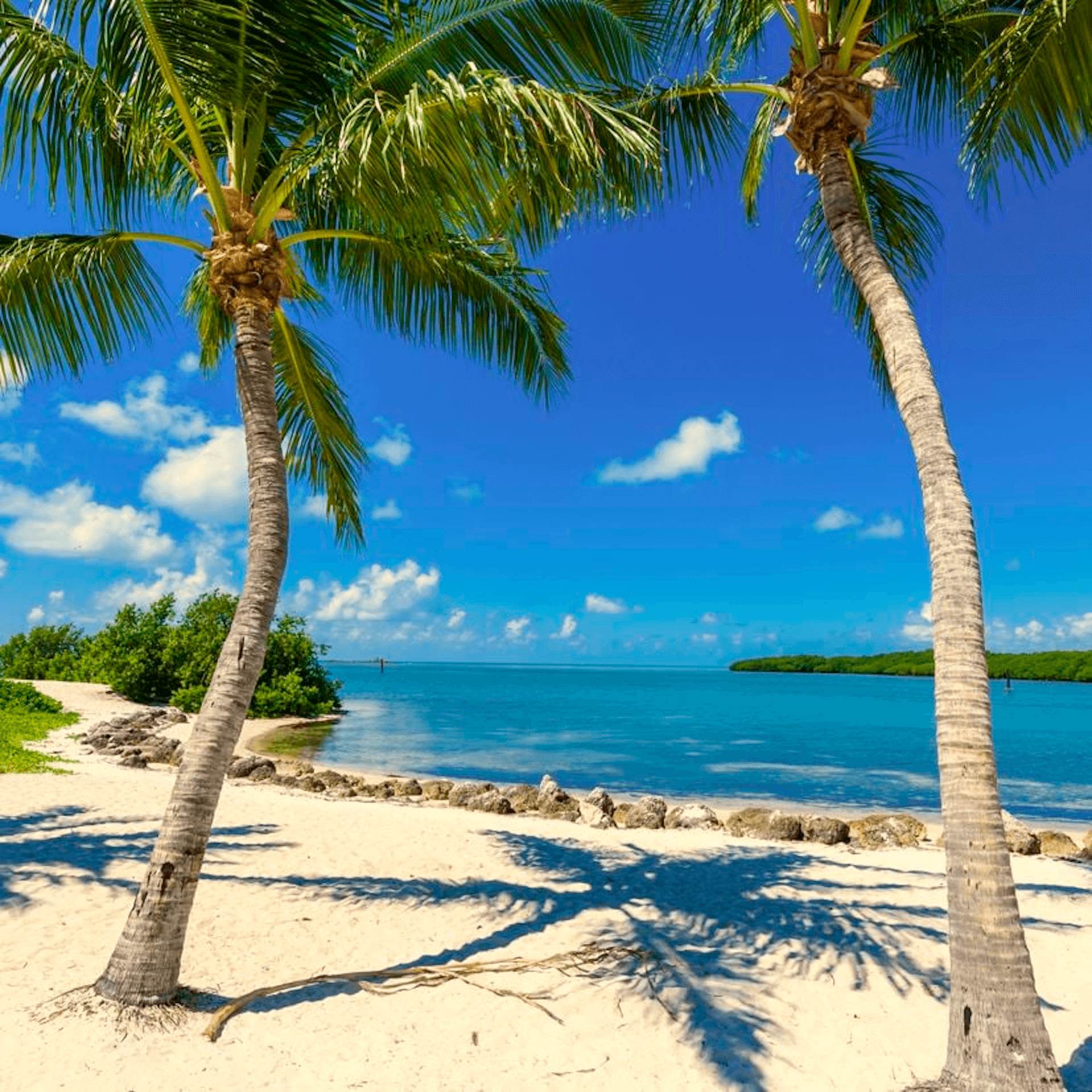 The Florida Keys, a tropical paradise unlike any other, is a wonderland for the adventurous at heart. With its pristine beaches, crystal-clear waters, and an abundance of marine life, the Keys offer endless opportunities for snorkeling, scuba diving, and fishing. 